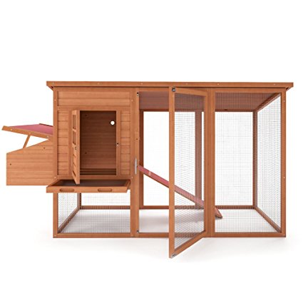 Hühnerstall, alles was du darüber wissen musst.